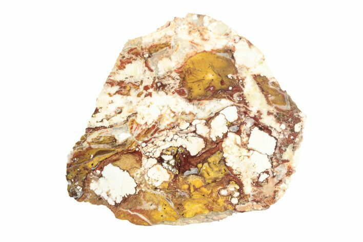 Polished Wild Horse Magnesite Section - Arizona #264048